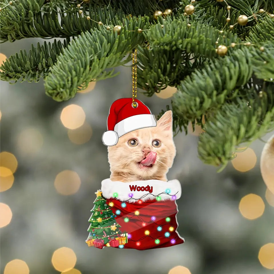 Pet In The Santa's Pocket - Personalized Upload Photo Acrylic Ornament - Christmas Gift for Pet Lovers