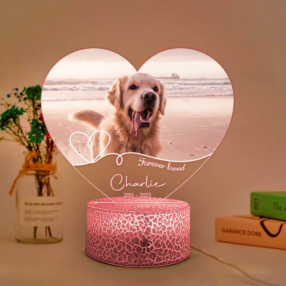 Forever Loved Personalized Photo LED Light Memorial Gift
