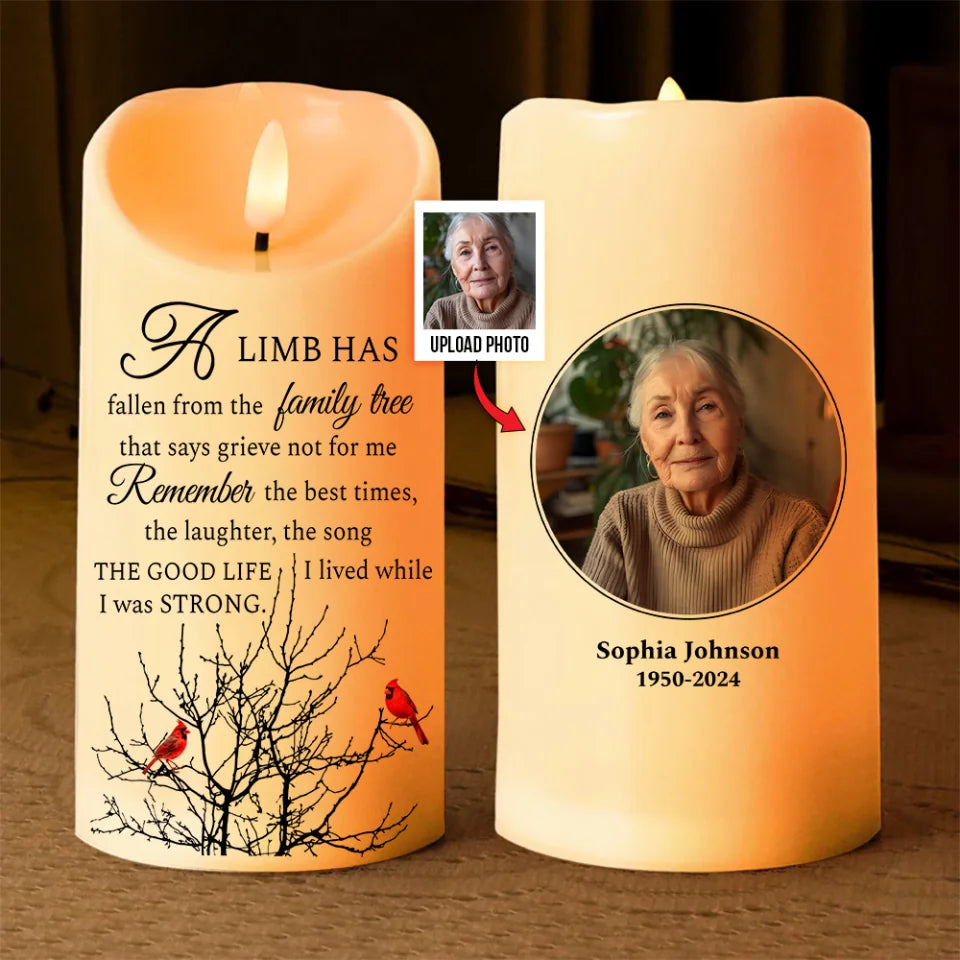 Those We Love Don't Go Away They Walk Beside Us Every Day - Cardinal Memorial Led Candle - Sympathy Gift for Loss of Loved Ones