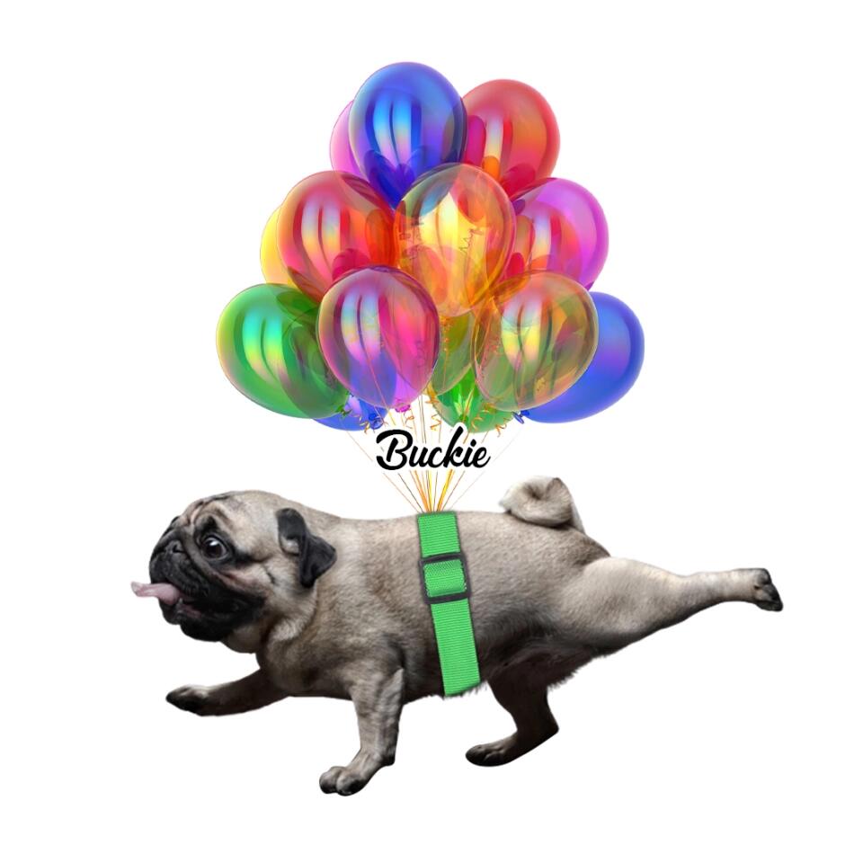 Personalized Valentine Gifts - Pug with Balloon Custom Car Ornament Gift For Dog Lovers