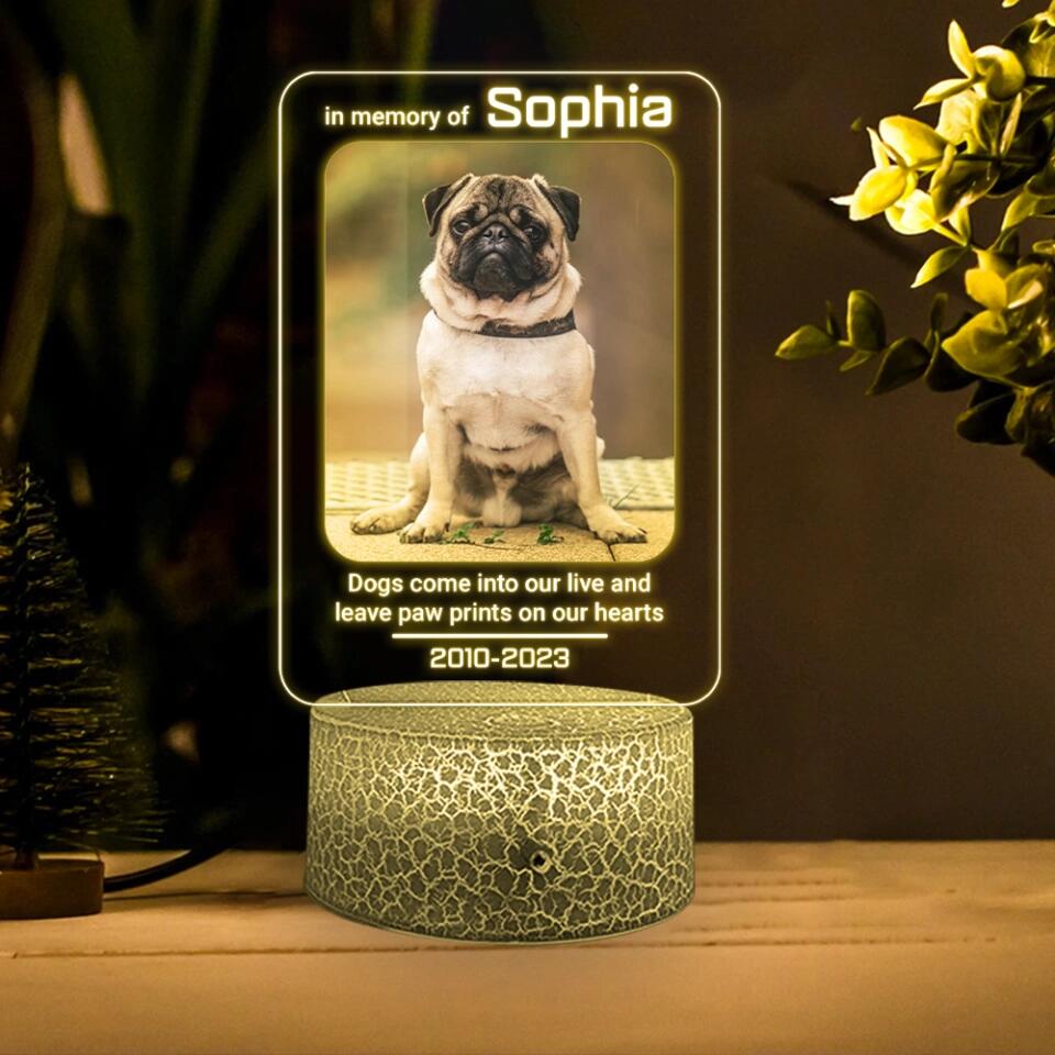 Dogs Come Into Our Live Personalized Led Light Memorial Gifts
