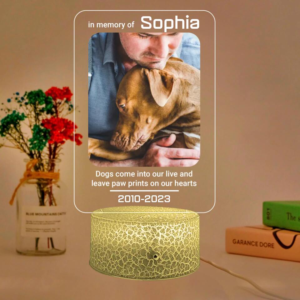 Dogs Come Into Our Live Personalized Led Light Memorial Gifts