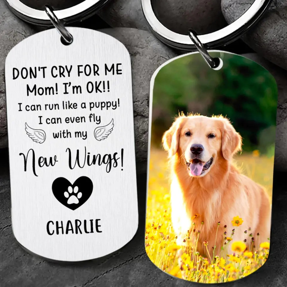 Don't Cry For Me I Can Run Like A Puppy - Personalized Stainless Metal Keychain