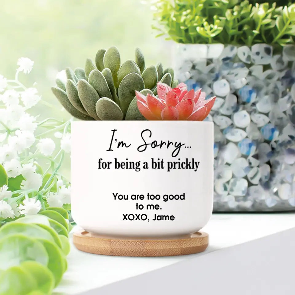 I'm Sorry For Being A Bit Prickly Personalized Ceramic Pot Apology Presents