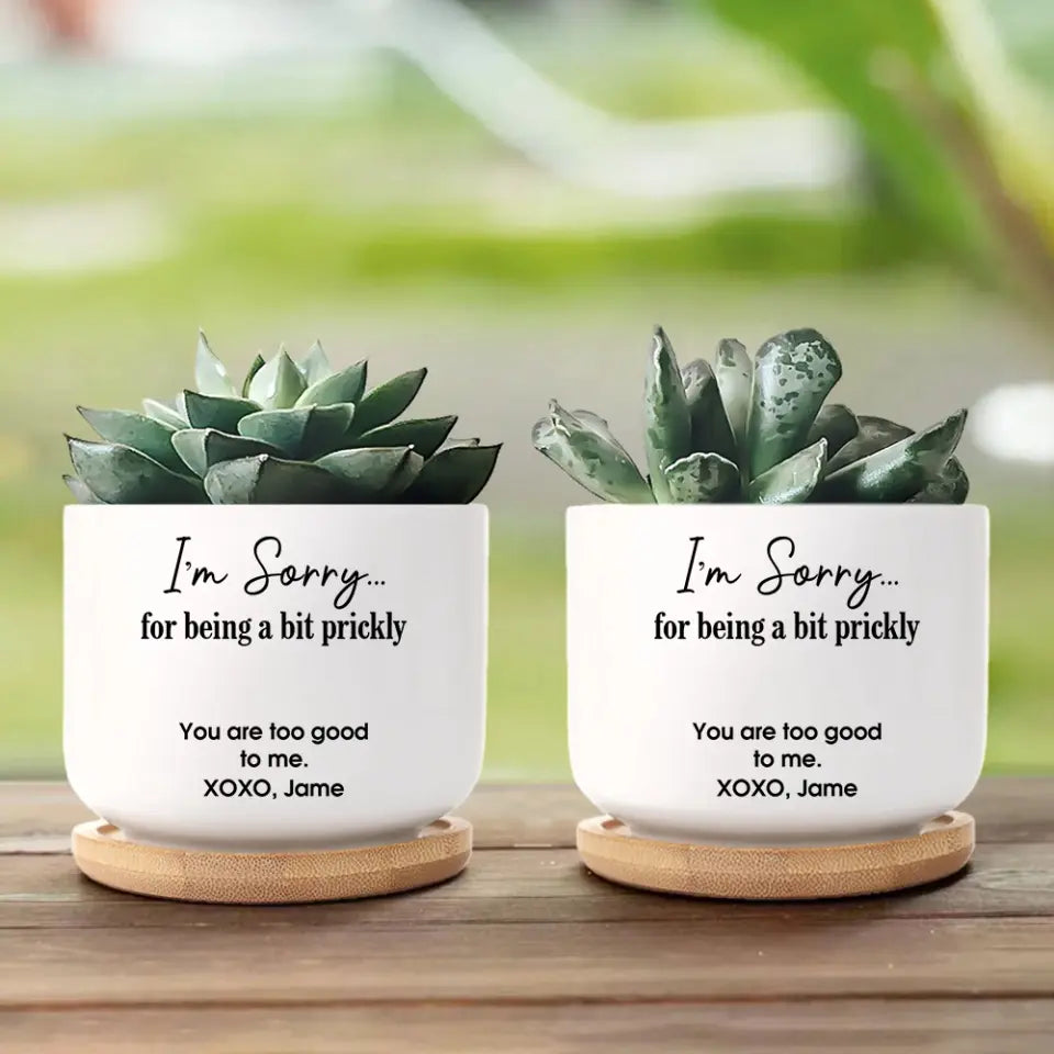I'm Sorry For Being A Bit Prickly Personalized Ceramic Pot Apology Presents