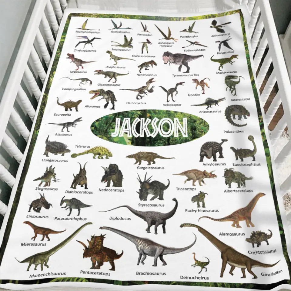 Personalized Dinosaur Blanket for Kids Gift - 50 Prehistoric Jurassic Dinosaurs - Fleece Blanket - Birthday Gift for Daughter Son Grandchildren - Gift for Dinosaur Lovers - 302ICNBNBL232