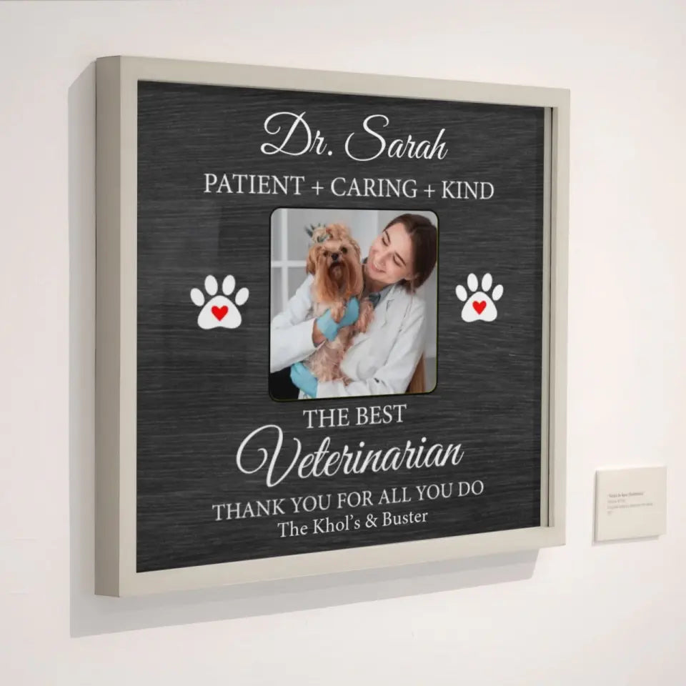The Best Veterinarian Patient Caring Kind - Custom Canvas Poster - Anniversary Gift For Veterinarian