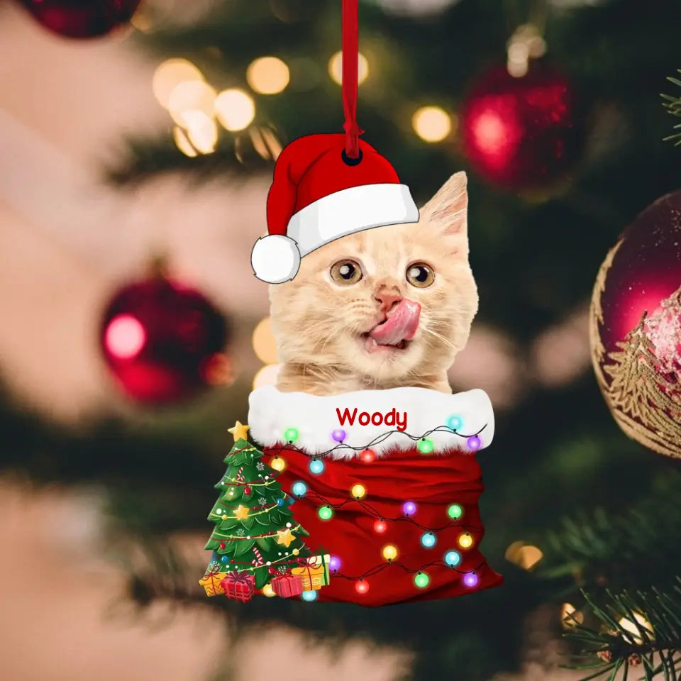 Dog In The Santa's Pocket, Upload Photo Acrylic Ornament, Christmas Gift, Tree Decor | 310IHPLNOR1134