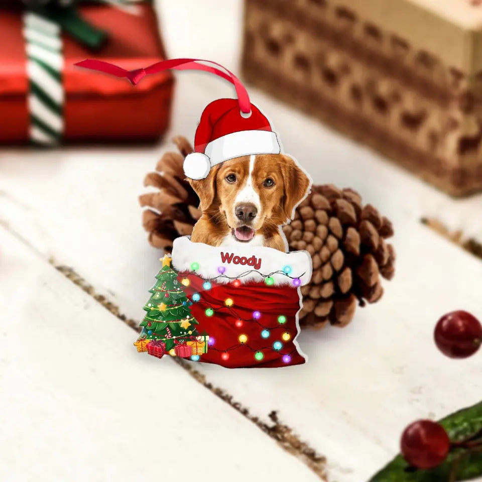 Pet In The Santa's Pocket - Personalized Upload Photo Acrylic Ornament - Christmas Gift for Pet Lovers
