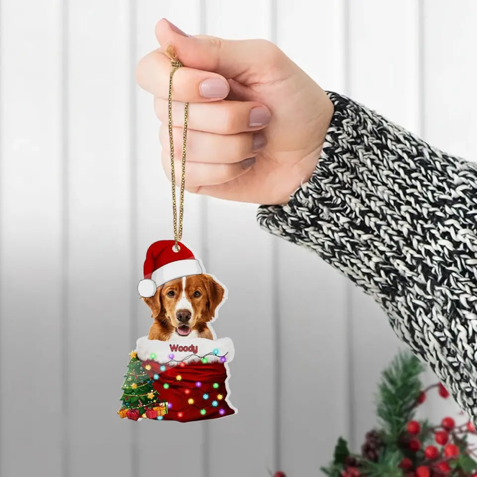 Pet In The Santa's Pocket - Personalized Upload Photo Acrylic Ornament - Christmas Gift for Pet Lovers