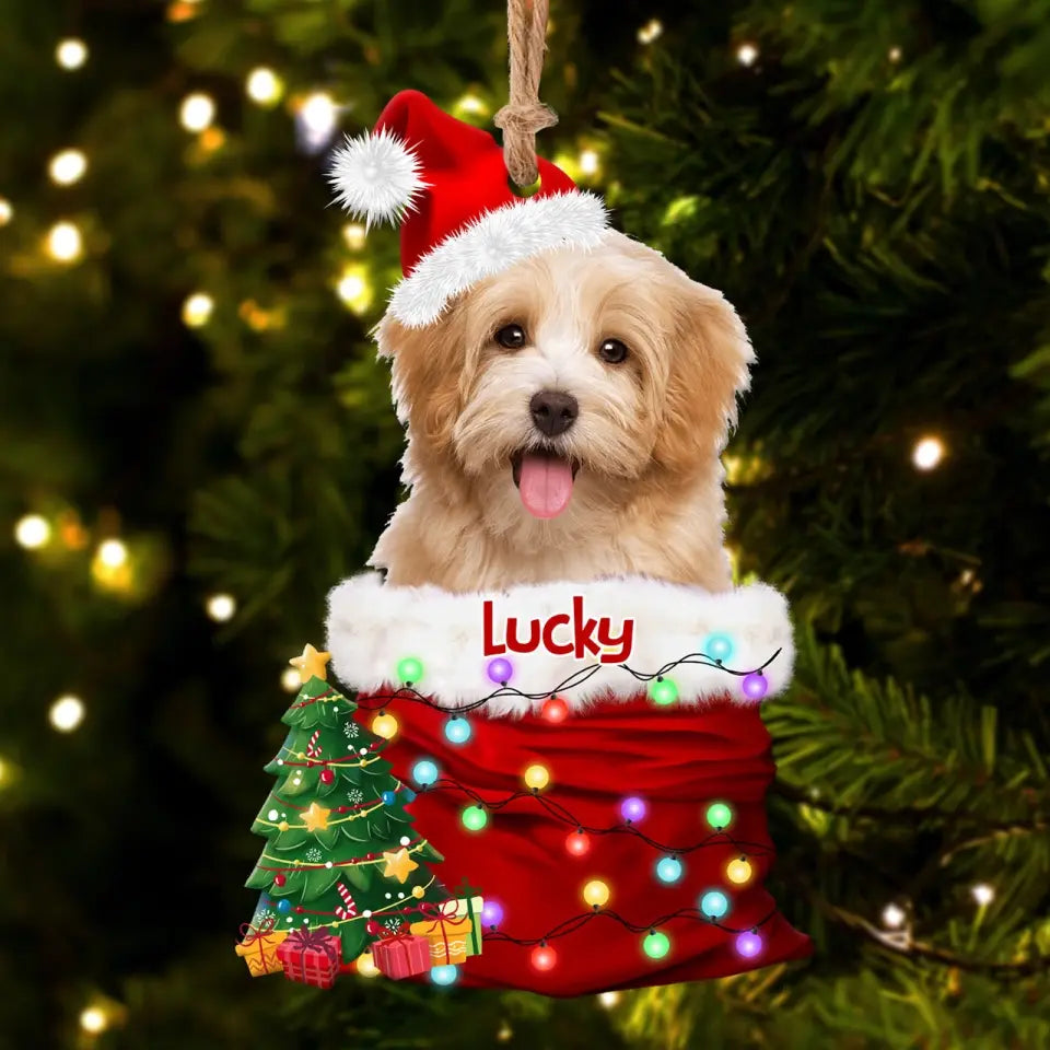 Pet In The Santa's Pocket - Personalized Upload Photo Acrylic Ornament - Christmas Gift for Pet Lovers