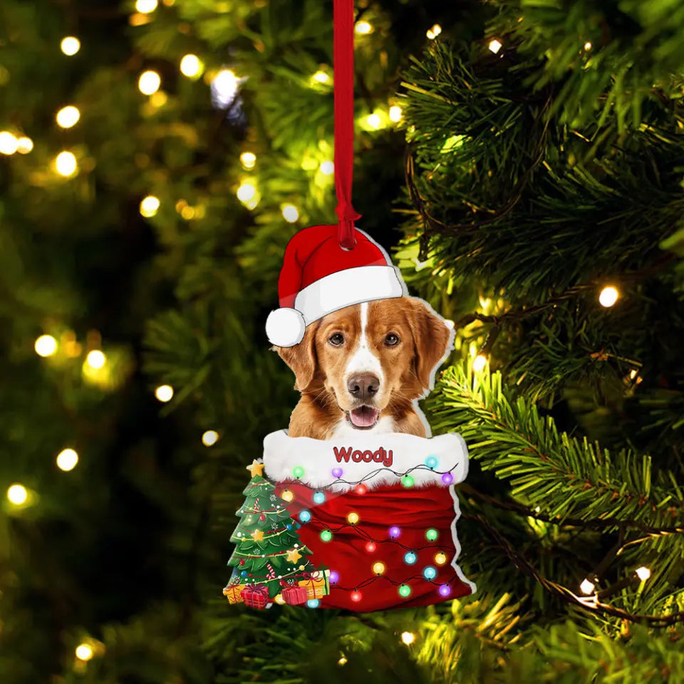 Pet In The Santa&#39;s Pocket - Personalized Upload Photo Acrylic Ornament - Christmas Gift for Pet Lovers