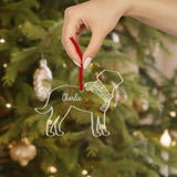 Dog Cat Scarf Christmas, Custom Name Acrylic Ornament, Gift For Pet Lovers | 311IHPBNOR1267