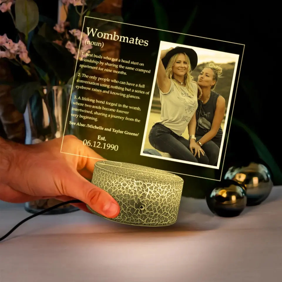 Wombmates, Family Twins, Upload Photo Printed Night Light, Anniversary Gift For Twins | 309IHPLNLL755