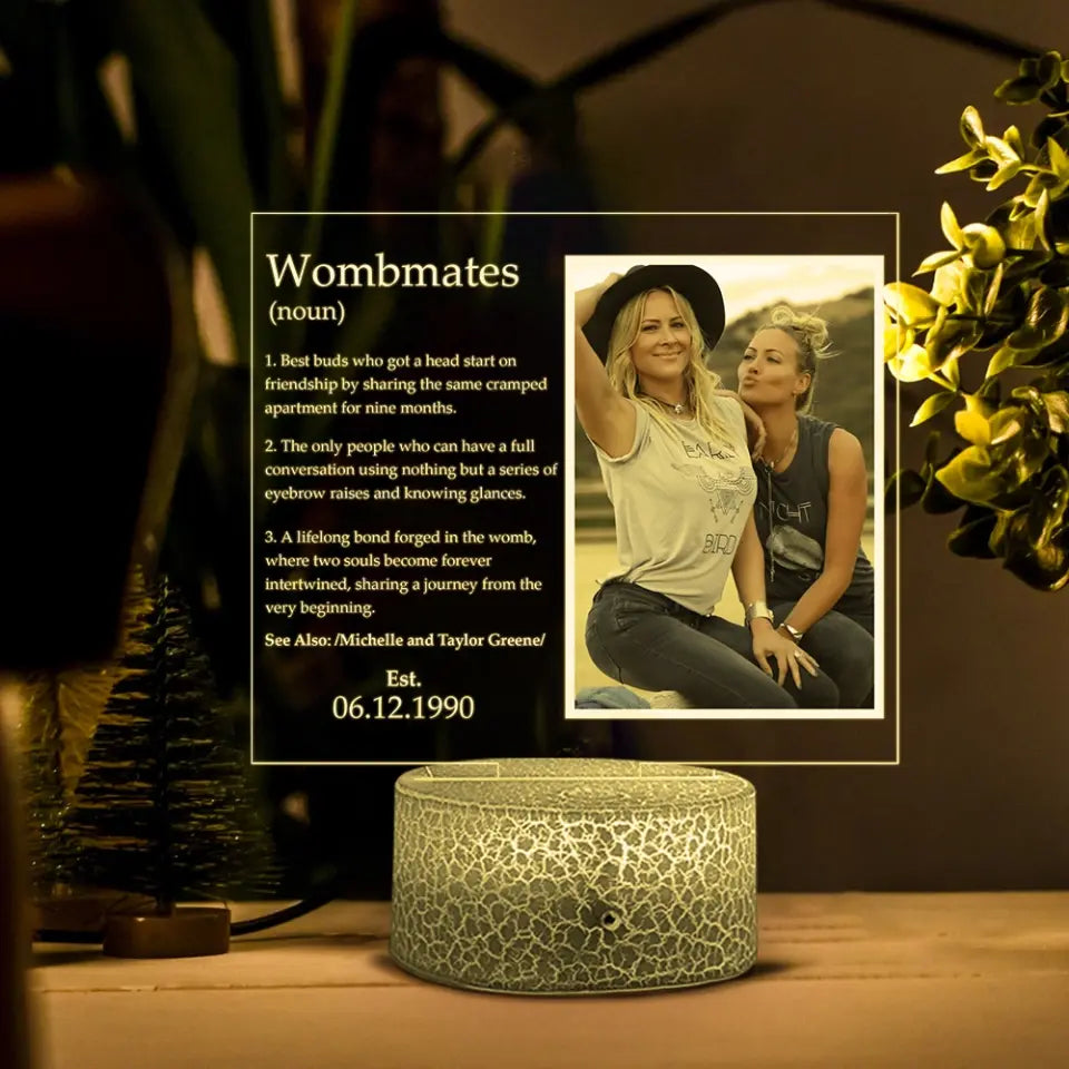 Wombmates, Family Twins, Upload Photo Printed Night Light, Anniversary Gift For Twins | 309IHPLNLL755