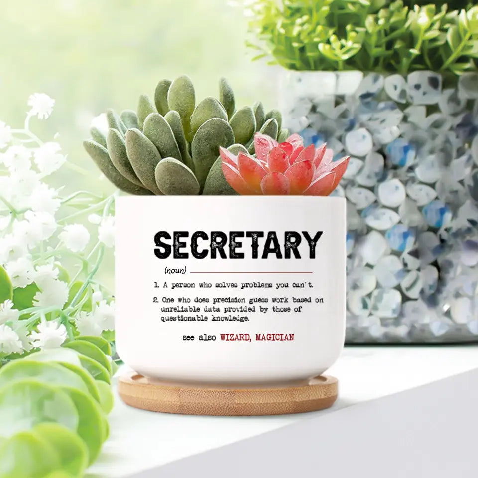 Secretary Special Plant Pot