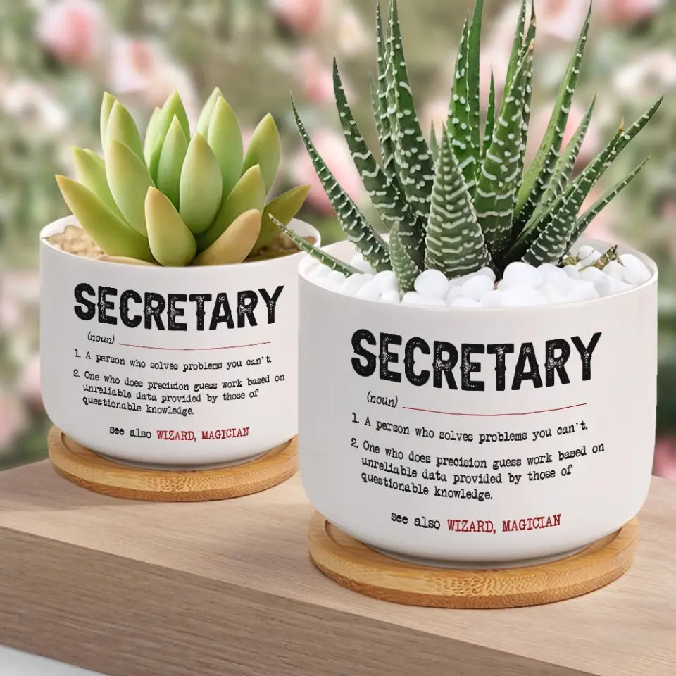 Secretary Special Plant Pot
