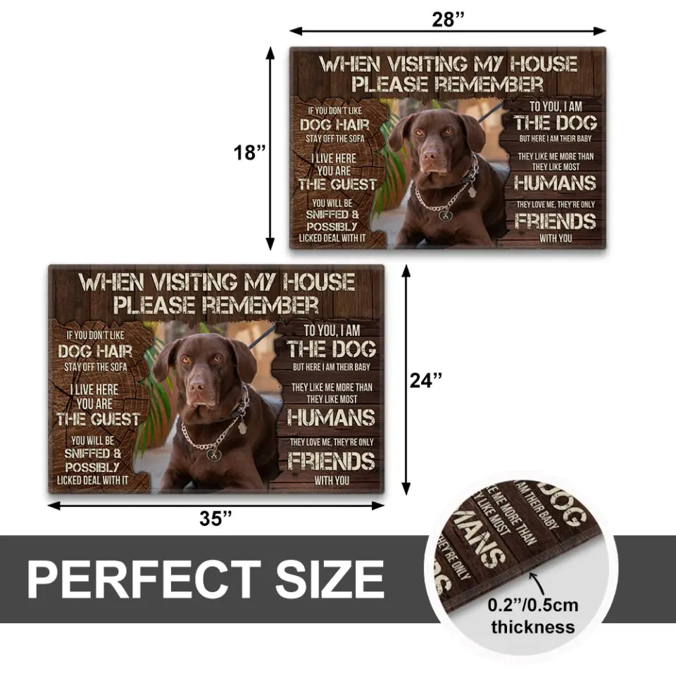 When Visiting My House Please Remember Dog Doormat - Upload Image Personalized Doormat