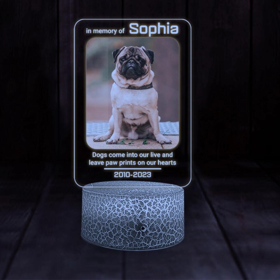 Dogs Come Into Our Live Personalized Led Light Memorial Gifts