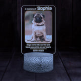 Dogs Come Into Our Live and Leave Pawpritns On Our Hearts - Personalized 3D Printed Led Light - Best Memorial Gifts For Dog Lovers - 302IHPNPLL230