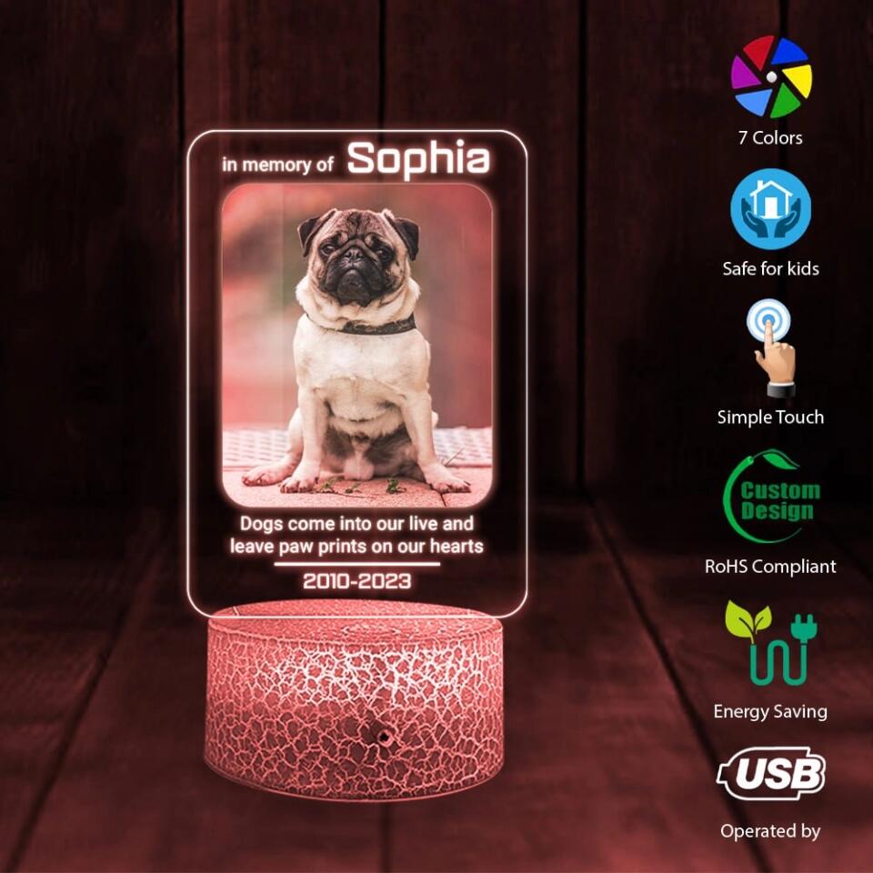 Dogs Come Into Our Live Personalized Led Light Memorial Gifts