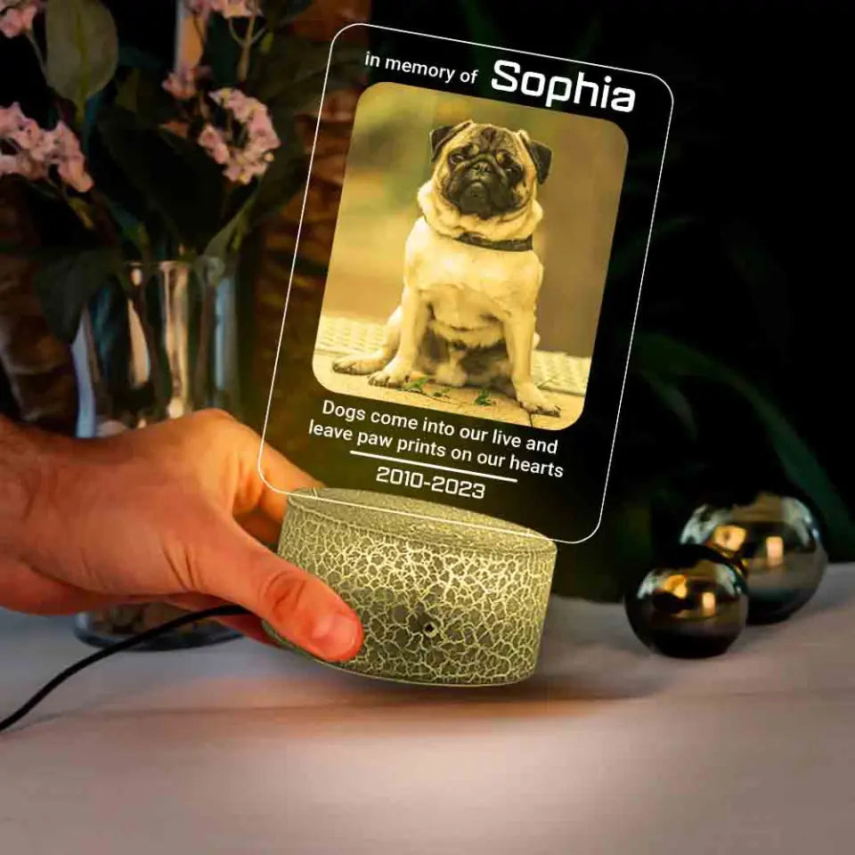 Dogs Come Into Our Live Personalized Led Light Memorial Gifts