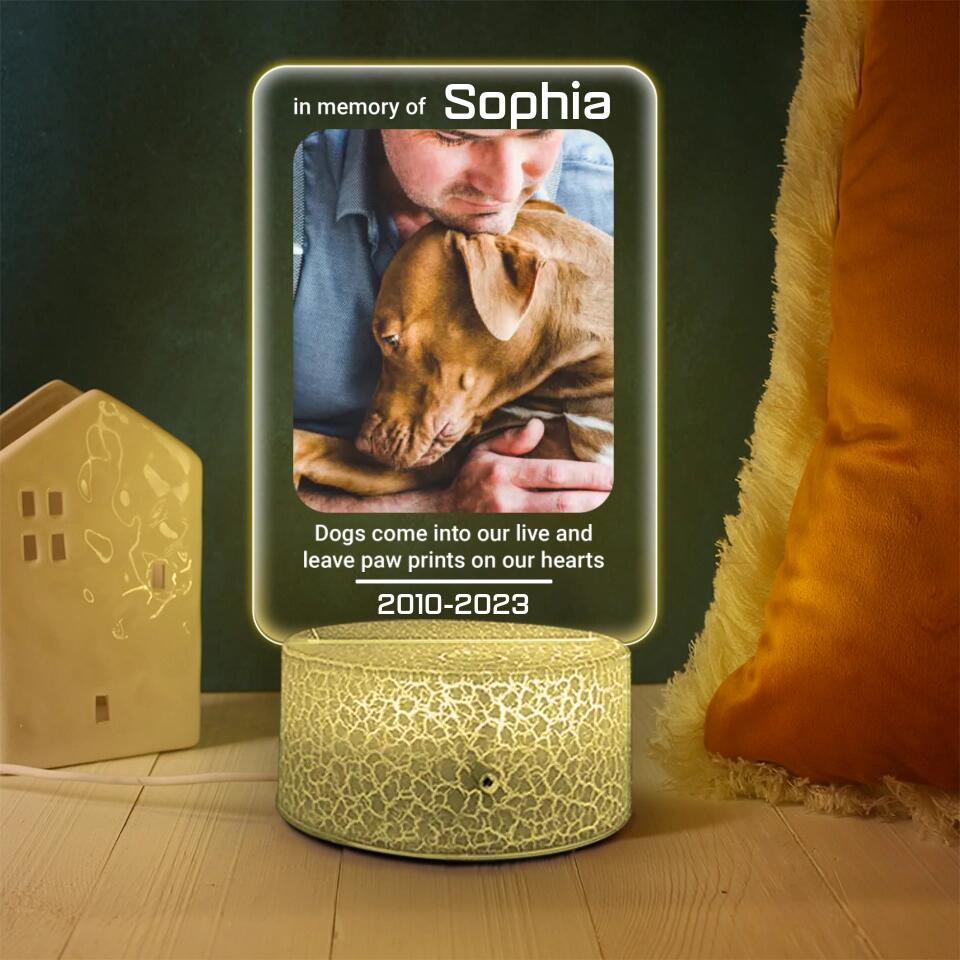 Dogs Come Into Our Live Personalized Led Light Memorial Gifts