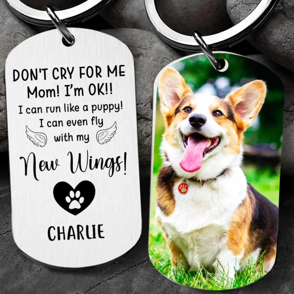 Don't Cry For Me I Can Run Like A Puppy - Personalized Stainless Metal Keychain