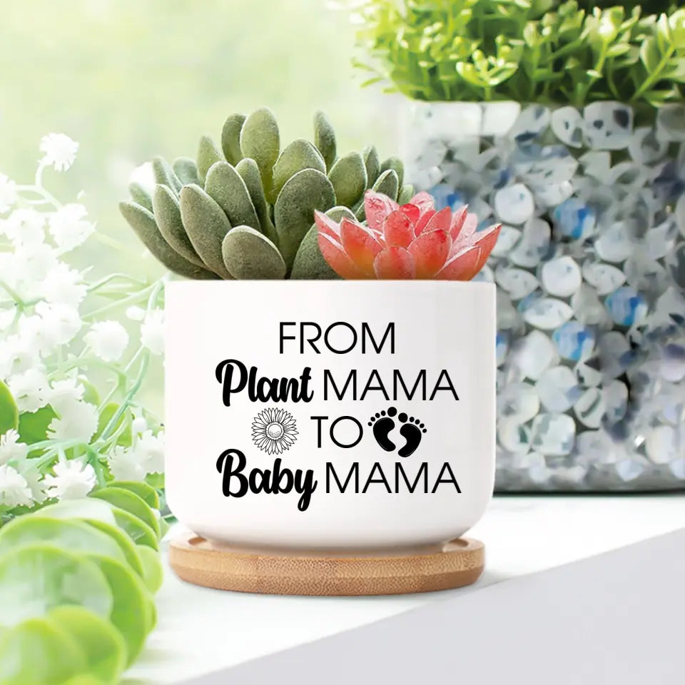From Plant Mama To Baby Mama - Special Plant Pot - Pregnant Mom Gift