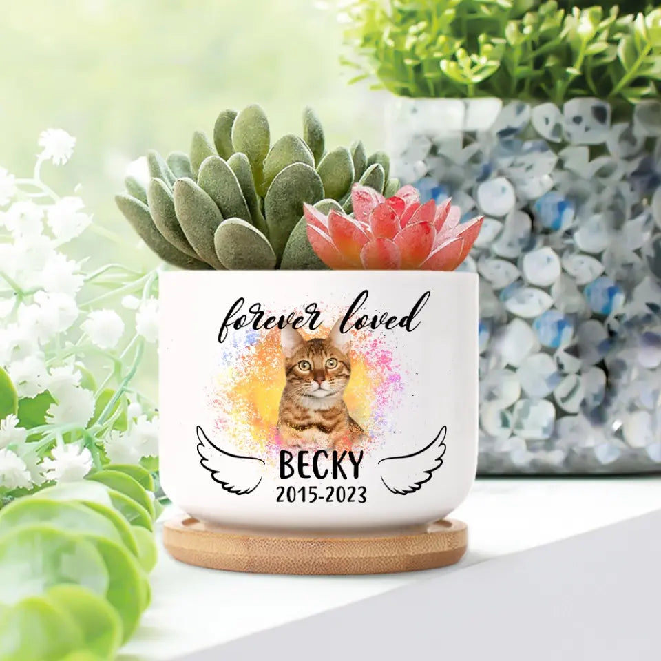 Forever Loved Dog Cat Memorial Ceramic Plant Pot With Wooden Base